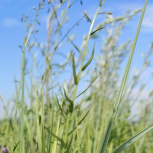 都来听都来看我把男人说一段