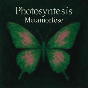 Metamorfose
