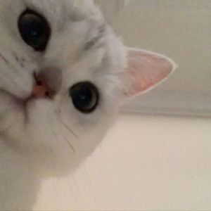 小小宇（cover那奇沃夫/Yihuik苡慧）