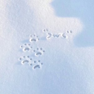 怕依赖与失新鲜