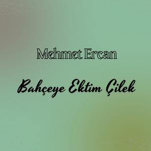 Bahçeye Ektim Çilek