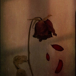 tere dil ke sheher mein ghar mera ho gaya, ho gaya