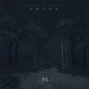 在雨中行走