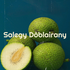 Salegy Dôblairany