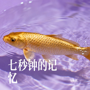 七秒钟的记忆