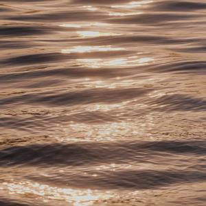 【FREE】清丧/浪漫 Lofi-hiphop/Melody Rap