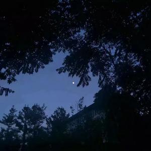 飞鸟和蝉（女声副歌）（翻自 任然）