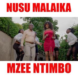 Nusu Malaika