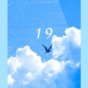 19