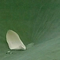 BOOZE-UP(狂饮作乐)