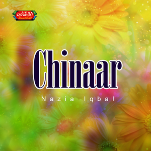 Rangeen Da Kali Mazigar Ko