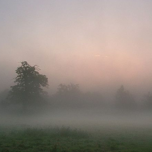 Veil
