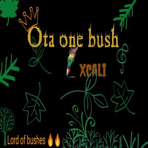 OtaOneBush
