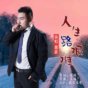 人生路艰难 (DJ版)