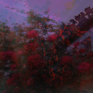 【free】"ULTIMATE"