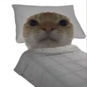 我的被窝你别走！