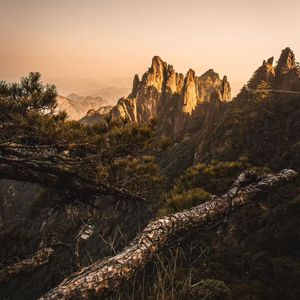 手心有你（轻松纯音乐）