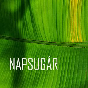 Napsugár (feat. Helga Kreiter) (Radio Edit)