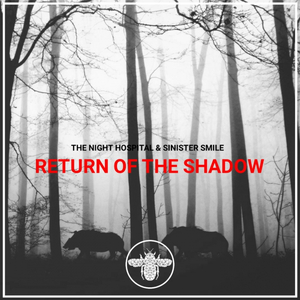 Return of The Shadow (Original Mix)