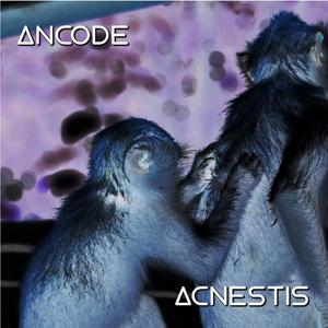 Acnestis