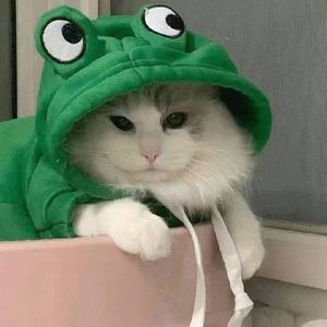 后来我的世界，再没有为你下的雨