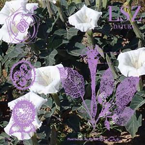 datura
