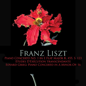 Piano Concerto No. 1 in E-Flat Major, S. 124:IV. Allegro marziale animato