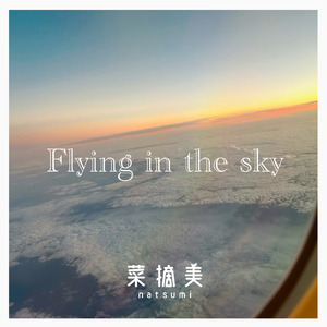 Flying in the sky