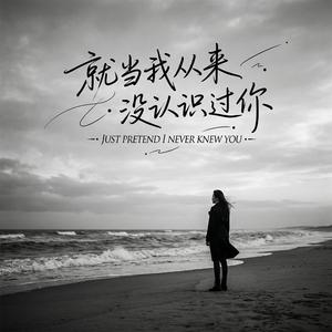 就当我从来没认识过你