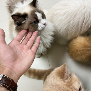 困在回忆里爱你1.mp3