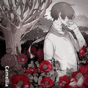 Camellia