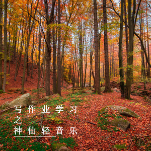 沉入海底 (放松纯音乐)