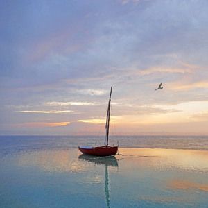 수면 (아늑함, 평온함, 안락함)