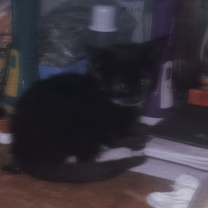 wound(Prod By Ljx Ghost)