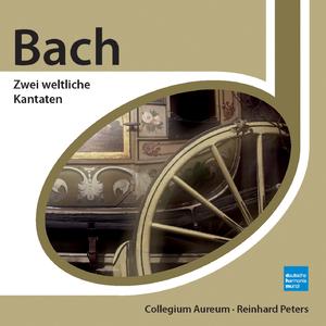 Cantata No. 202:Weichet nur, betrübte Schatten, BWV 202, "Wedding Cantata": Drum sucht auch Amor sein Vergnügen (Recitativo)