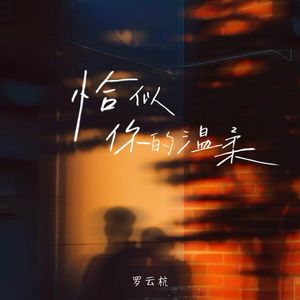 恰似你的温柔（伴奏）