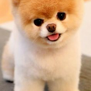 Spiral 2005 (Sped Up)