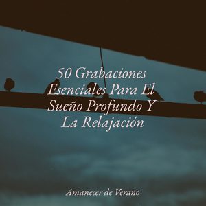 Tango del Tornado Encantador