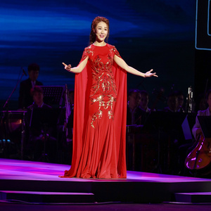 我的祖国(Live版)