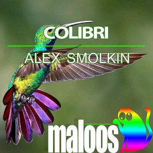 Colibri (Hipynoze Remix)