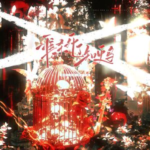 谁杀死了知更鸟（cover 言和）