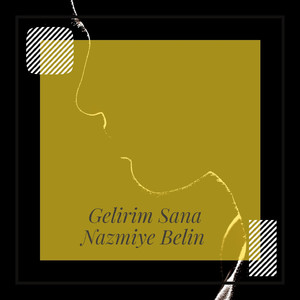 Gelirim Sana