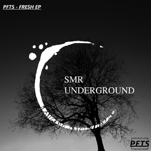 Fresh (Original mix)