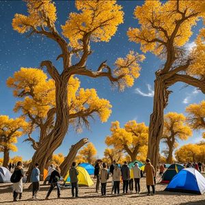 胡杨林的人 伴奏