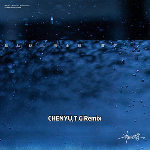 就让这大雨全都落下 (CHENYU & T.G Remix)