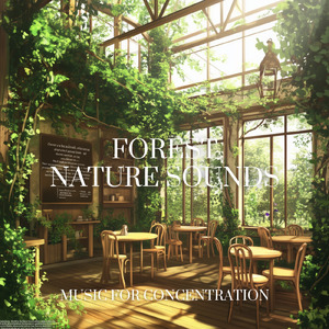 春のソナタ (自律神経を整えるピアノと森・鳥)