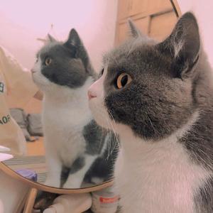 warm（cover Dre'es MIA）（翻自 Dre'es）