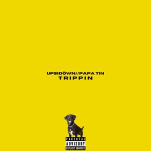 Trippin' (feat. Papa Tin)
