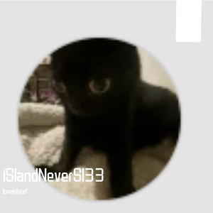 iSlandNeverSl33-整曲