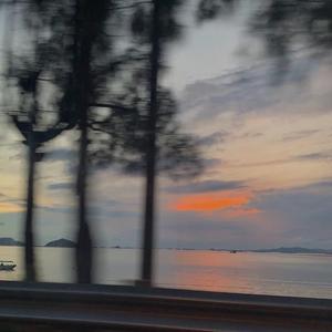 你喜欢的人在梦里